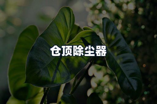 仓顶除尘器
